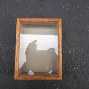 Vintage Wood Display Case Entomology Insects Goth Art Collect Trinkets Starwars